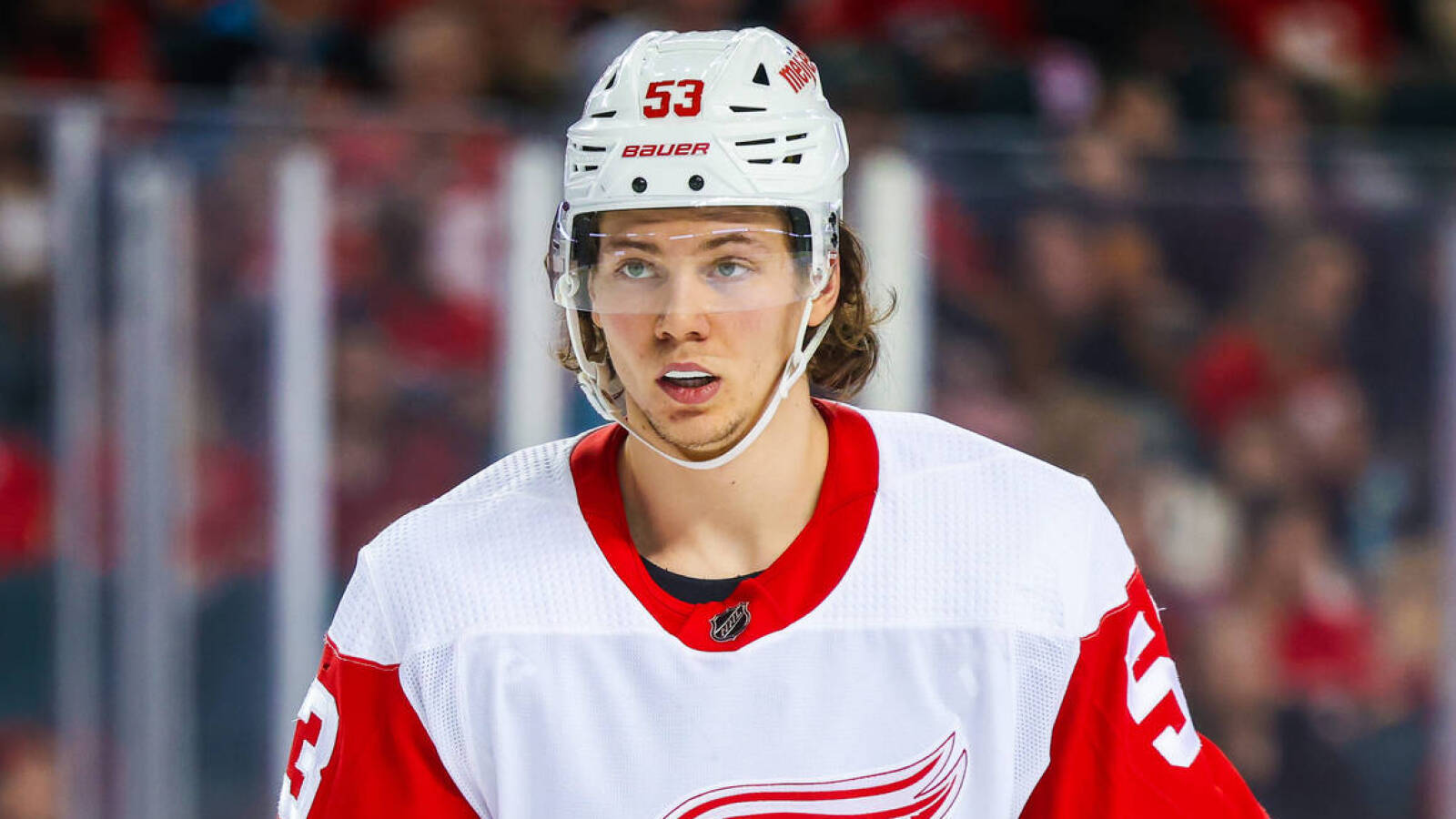 2022-23 NHL team preview: Detroit Red Wings.