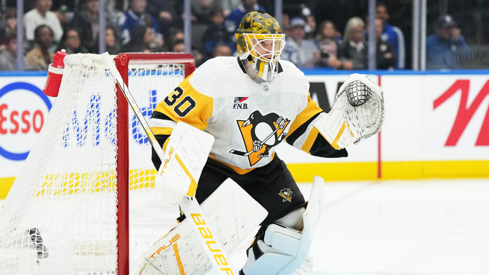 NHL News