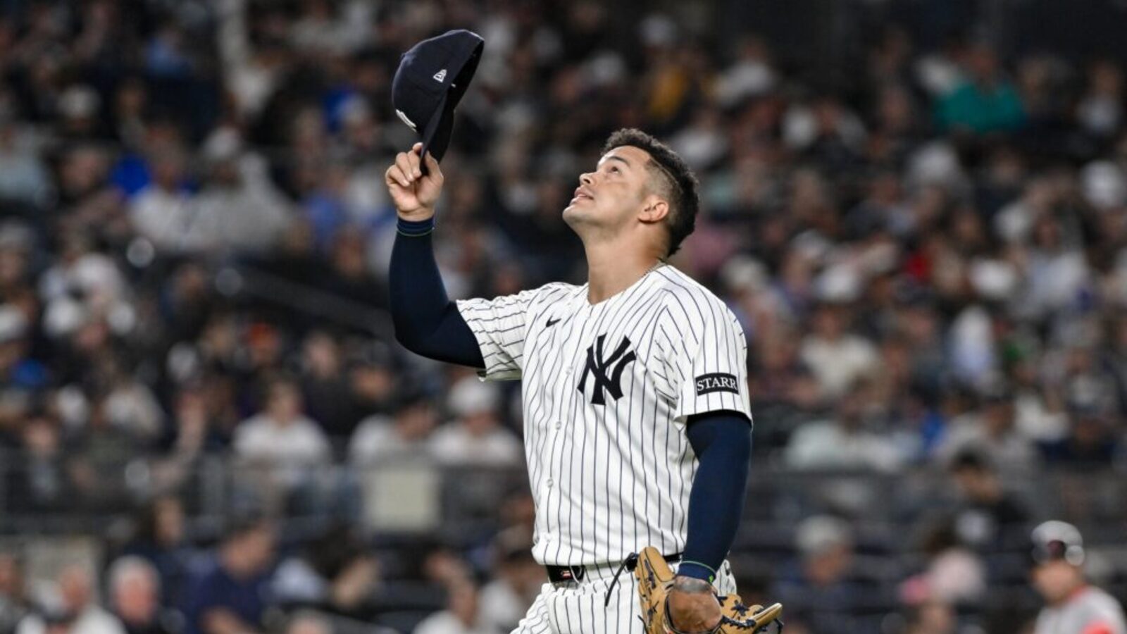 MLB News