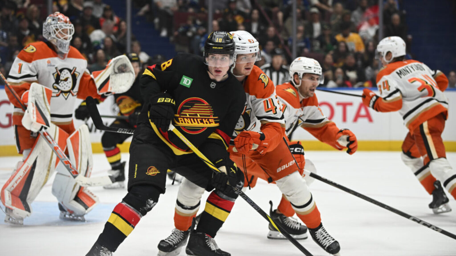 NHL News
