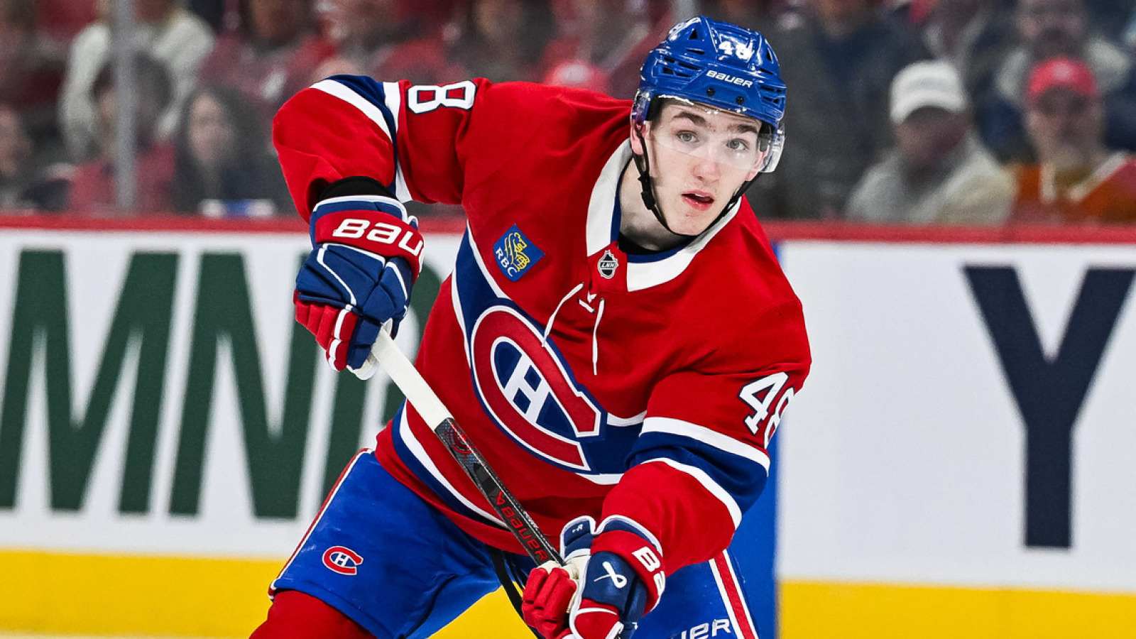 NHL News