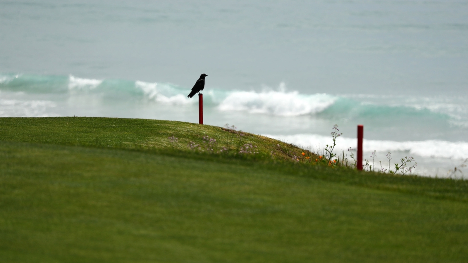 Dirk Pettit Wells Fargo Championship’te Canlı: TV Kanalı ve Çevrimiçi Yayın