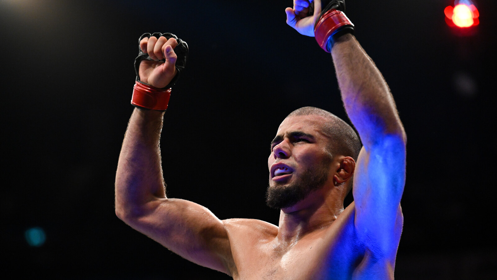 Mokaev Reports Four Opponents Withdrawn from Grappling Matches