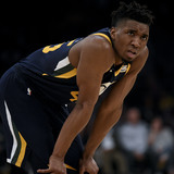donovan mitchell wingspan donovan mitchell wingspan