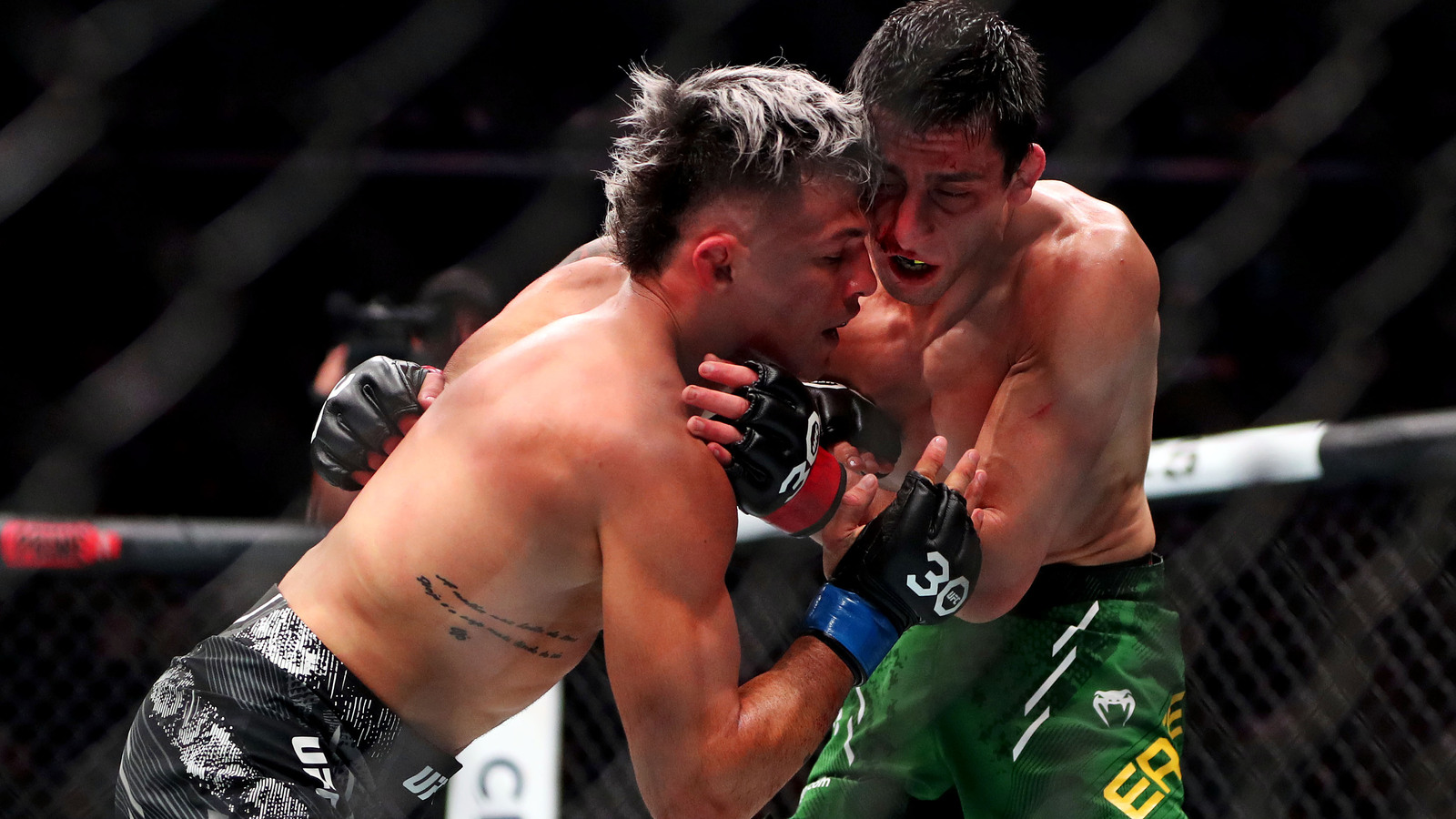 UFC 295 Prelims Flyweight Steve Erceg Extends Winning Streak to 10