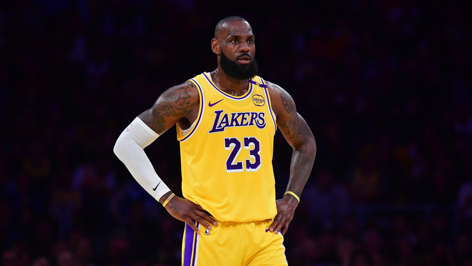 NBA Insider Provides LeBron James, Deandre Ayton Camp Updates For Lakers Offseason