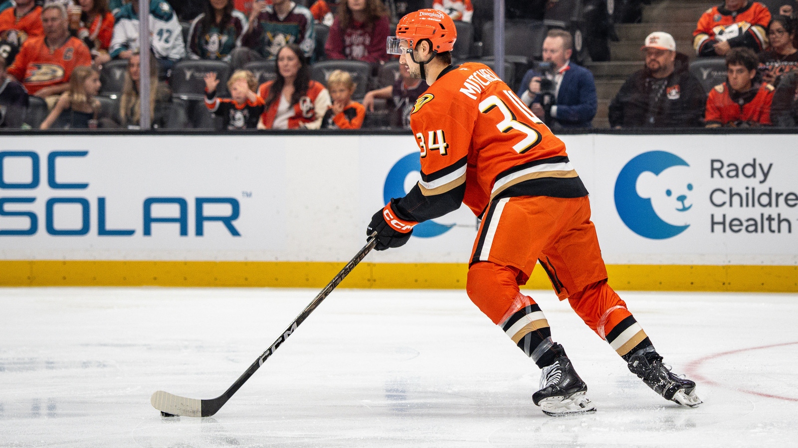 Ducks Recall Travis Mitchell; Place Pavel Mintyukov On IR
