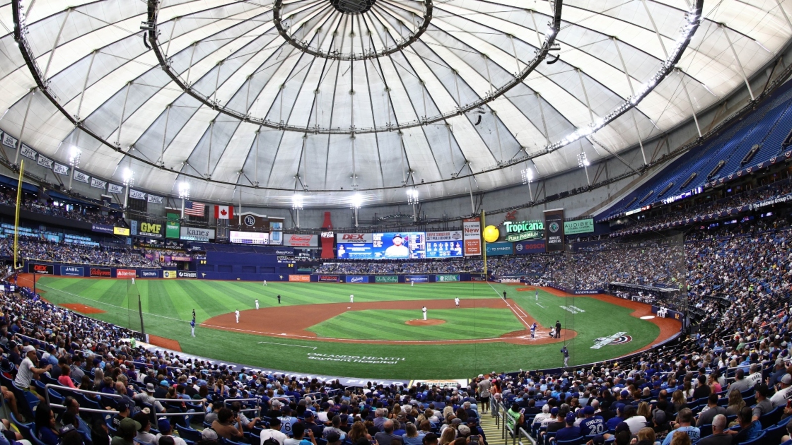 MLB News
