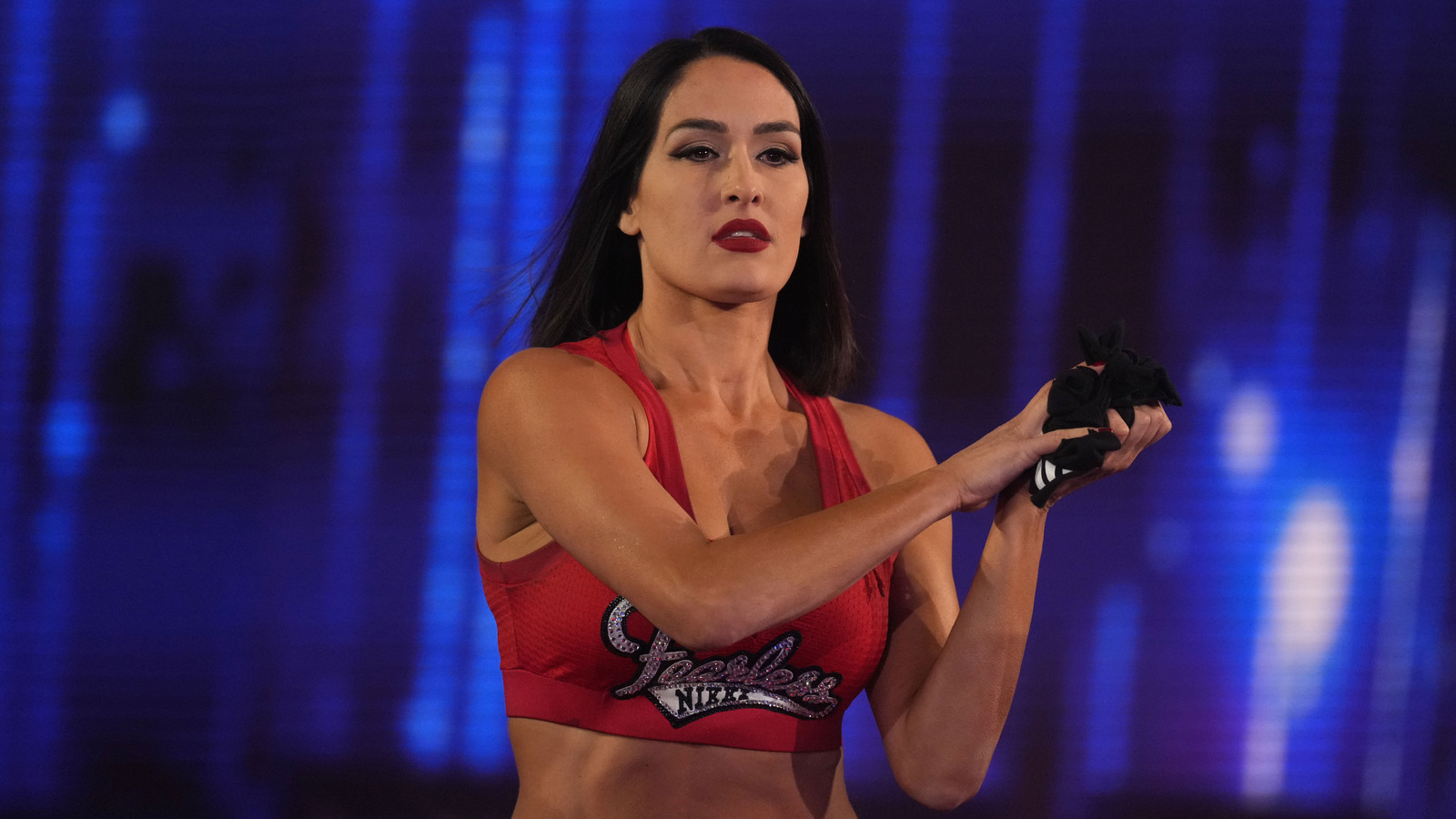 nikki bella 2008 - Ilustrasi 2