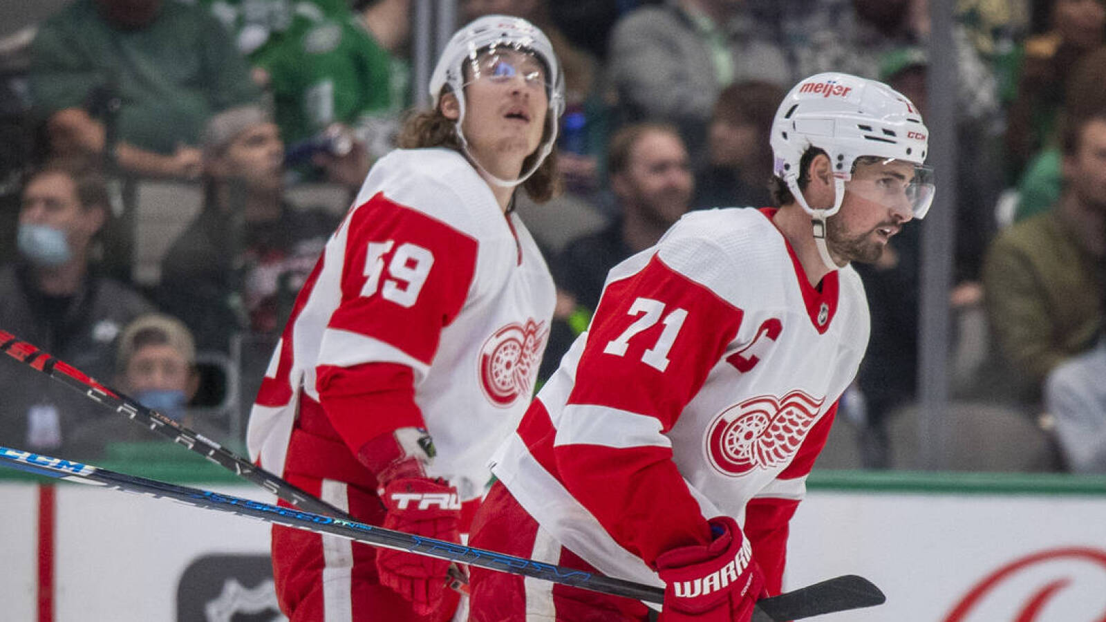 Detroit Red Wings: Back-up goalie woes continue as season continues
