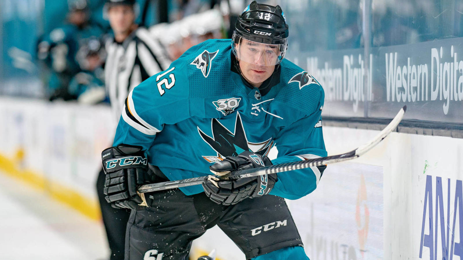 Patrick Marleau returns to Sharks on one-year deal