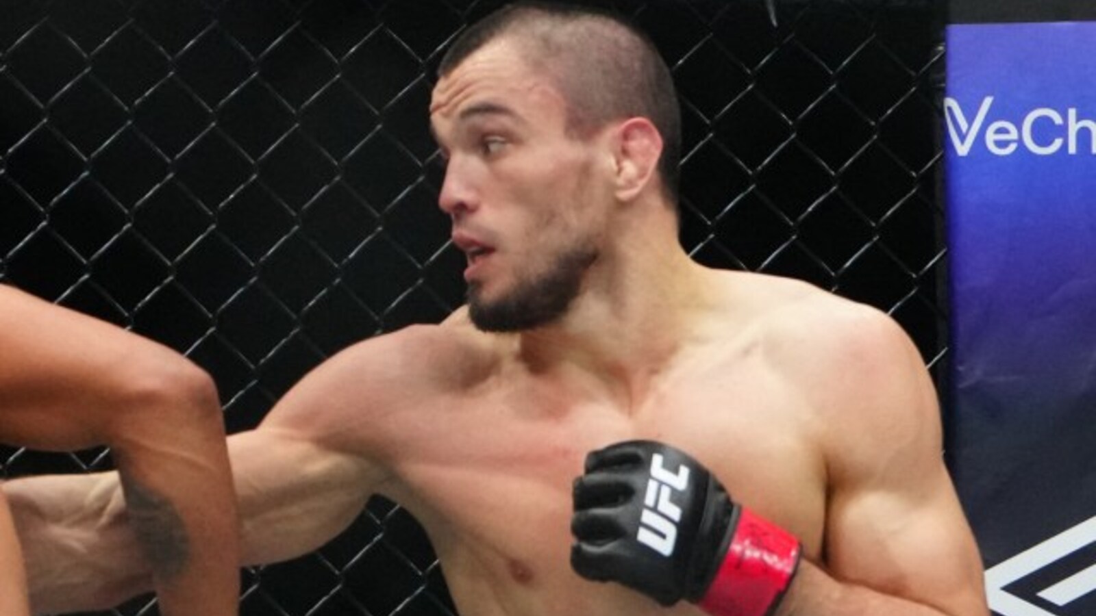 UFC Books Umar Nurmagomedov vs. David Martinez as Abu Dhabi Co-Main Event