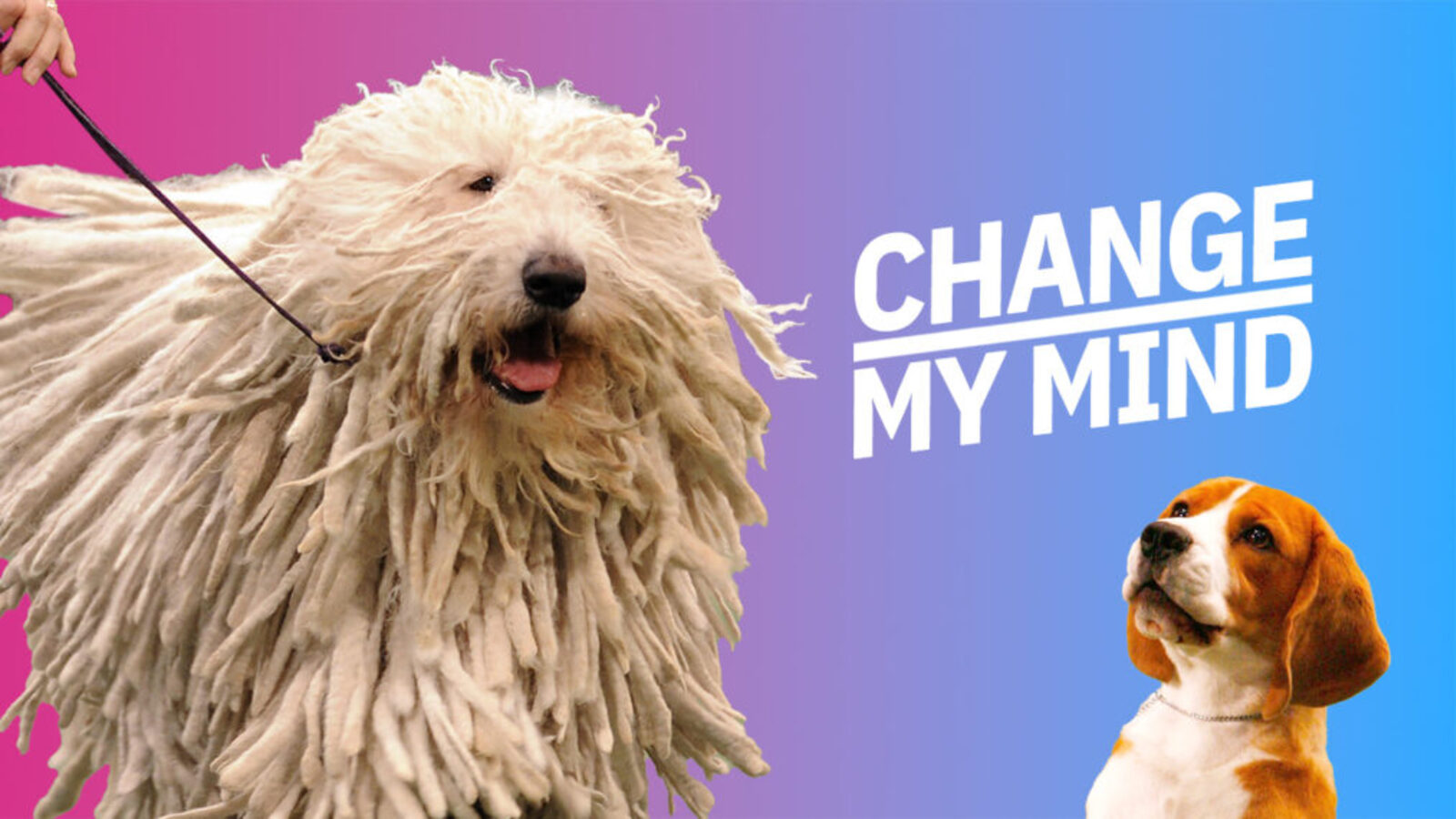 The National Dog Show Is The Best Thing About Thanksgiving Yardbarker