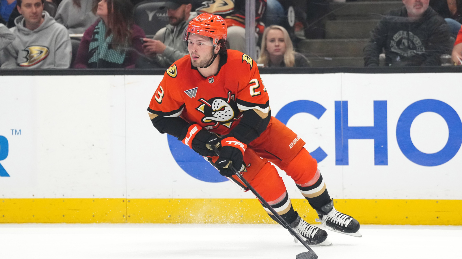 NHL News