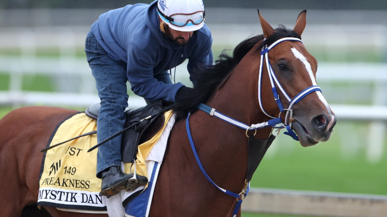 2024 Preakness Stakes odds, picks, predictions for Saturday's Triple Crown race - Vimarsana News