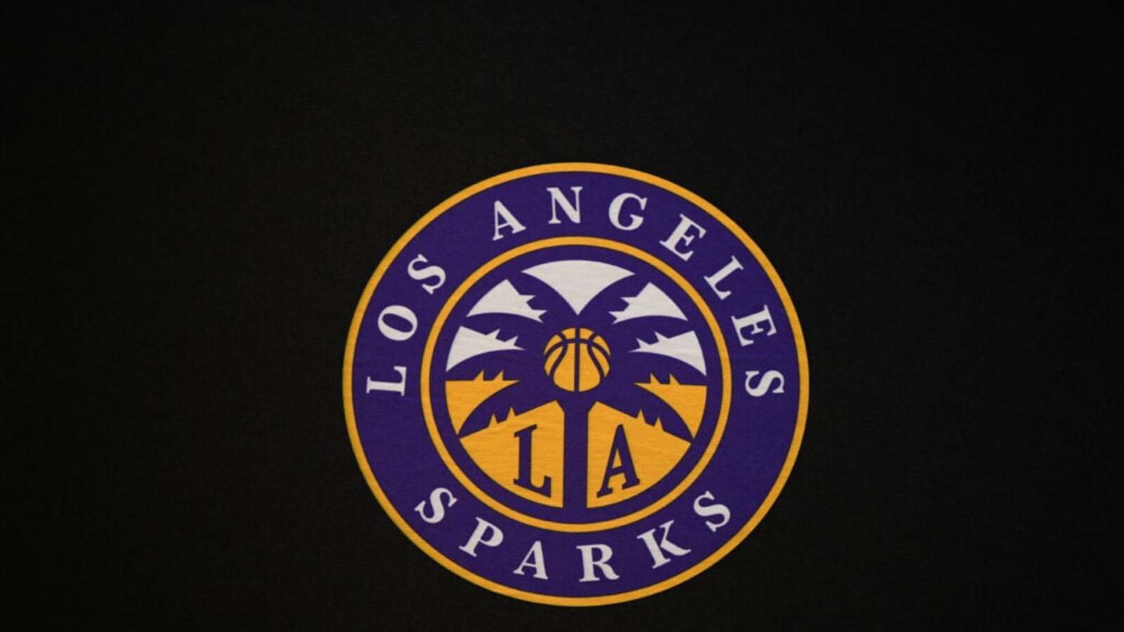 10x WNBA All-Star reportedly makes Los Angeles Sparks return decision