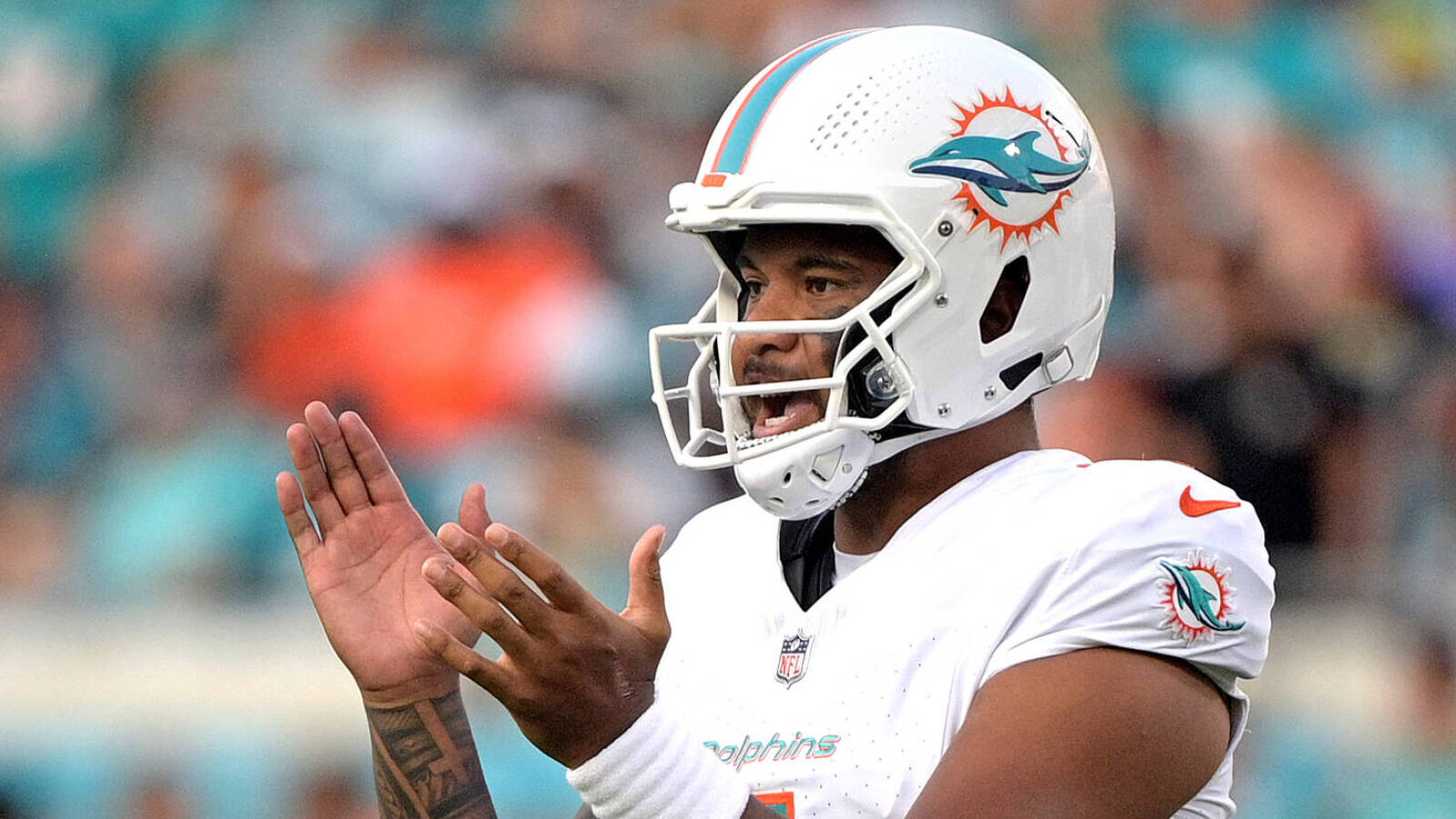 dolphins quarterback