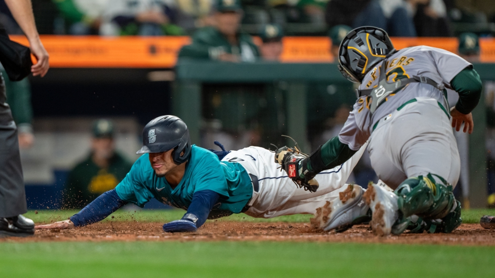 MLB News