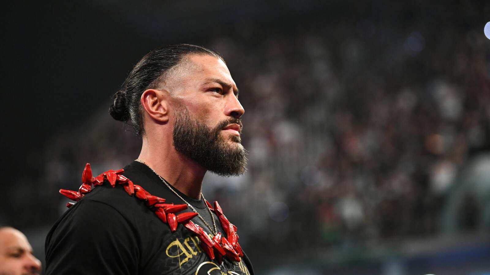 Jake Roberts Critiques Roman Reigns' Recent Performance