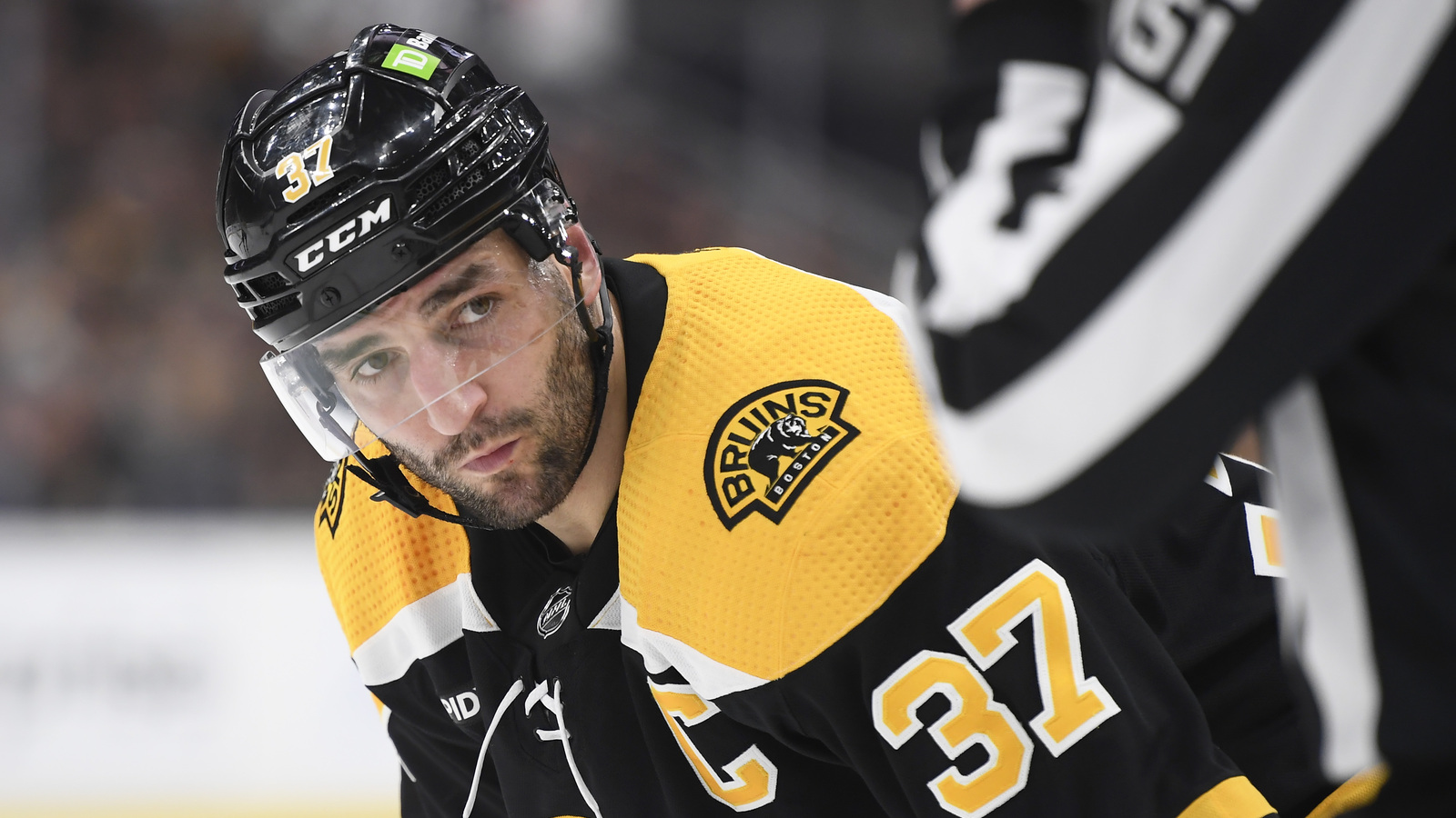 NHL News