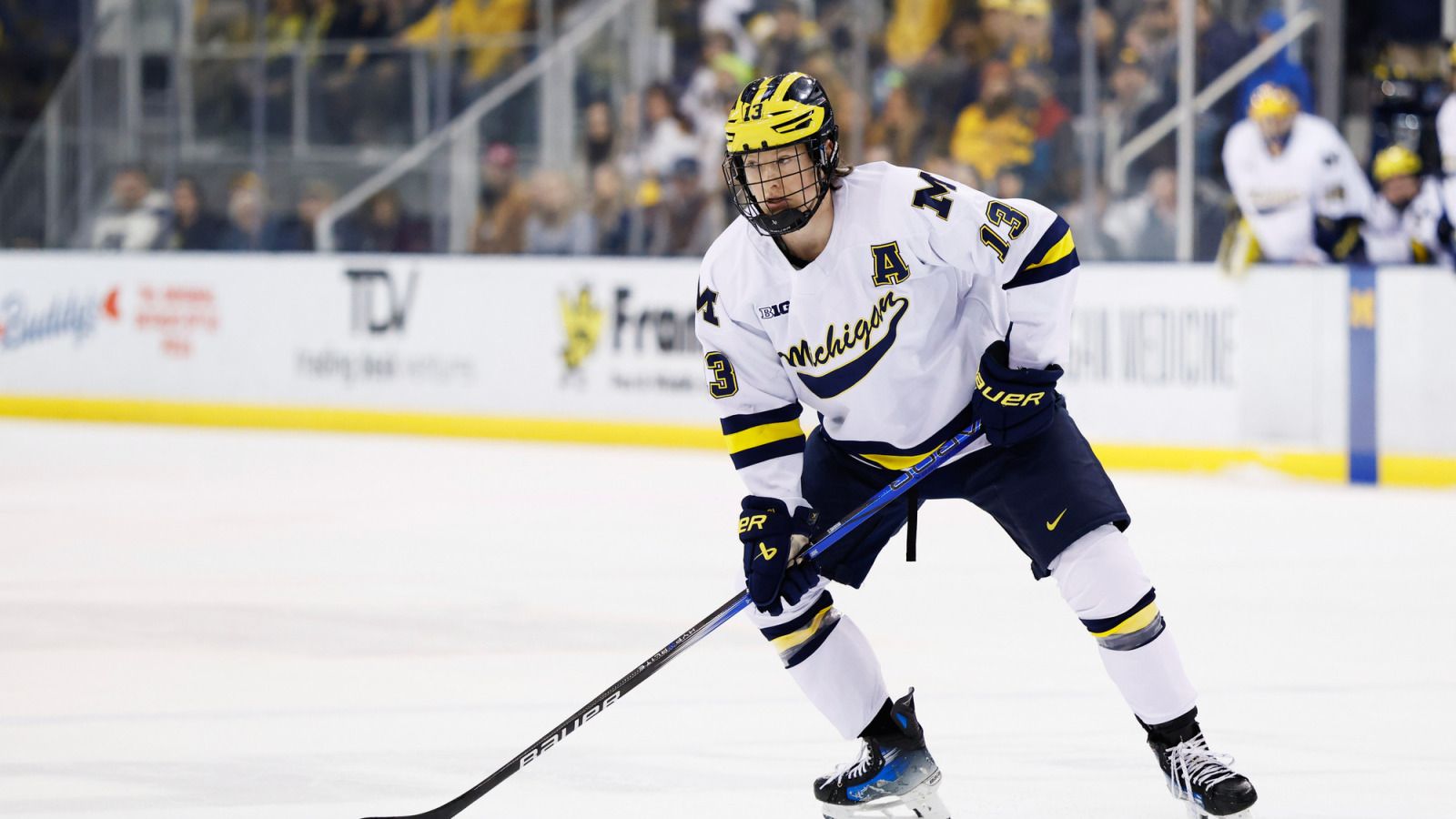 Oilers Eye Top NCAA Free Agent as Season Winds Down | Yardbarker