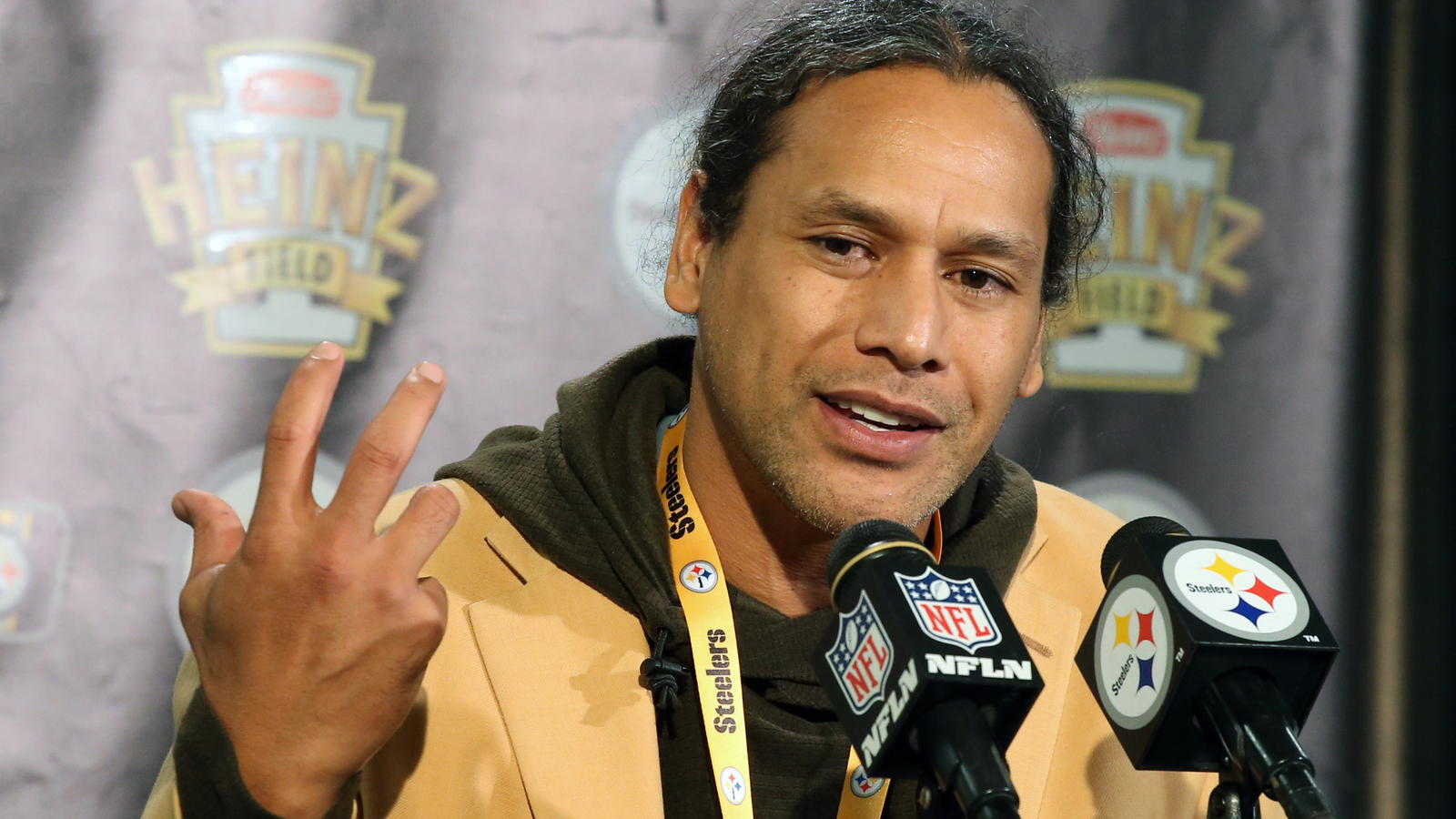 Troy Polamalu would make Bill Cowher lose his mind on every play - Vimarsana News