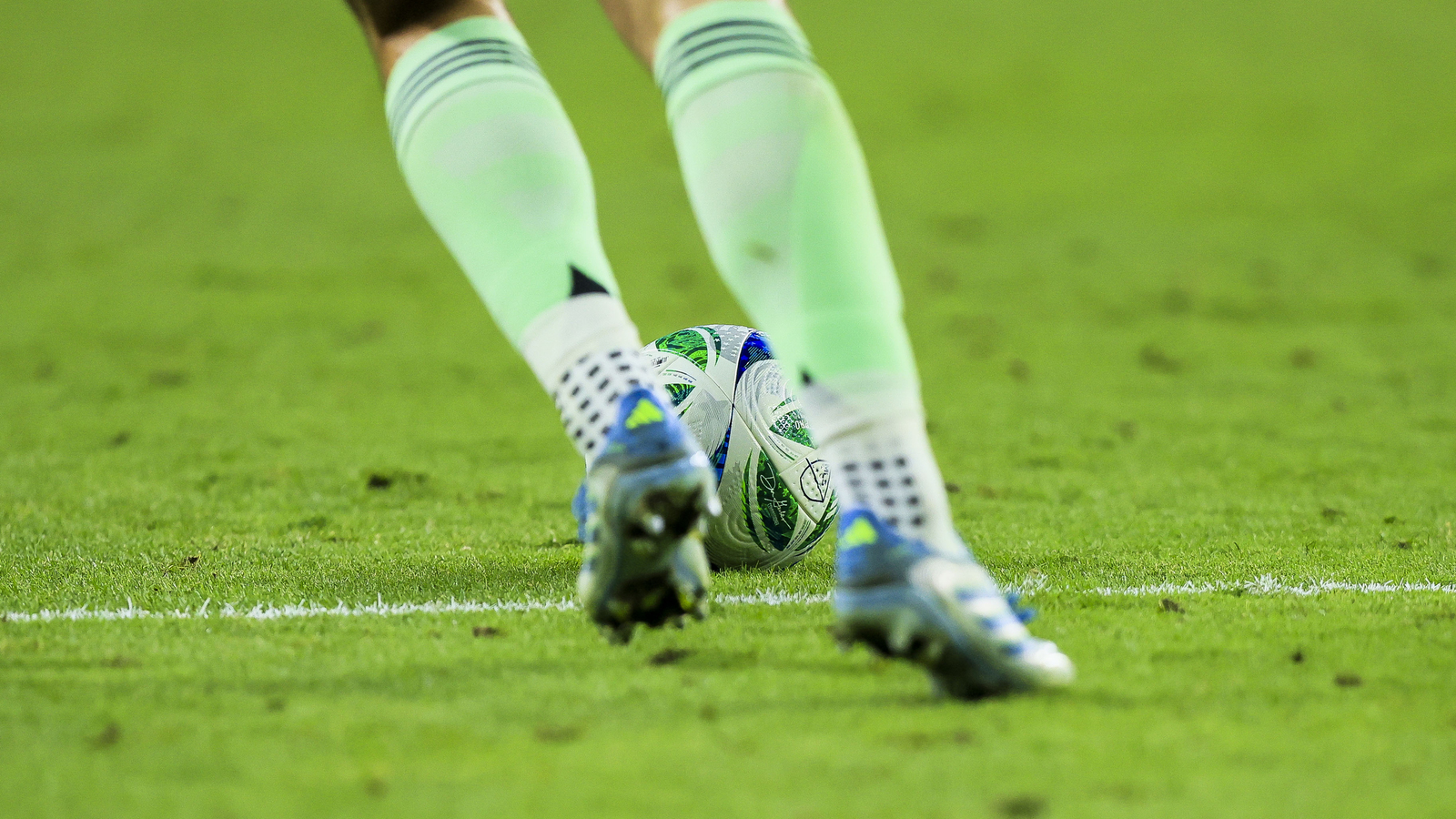 Graeme Bailey reveals Tottenham’s plans for out-of-form striker ...