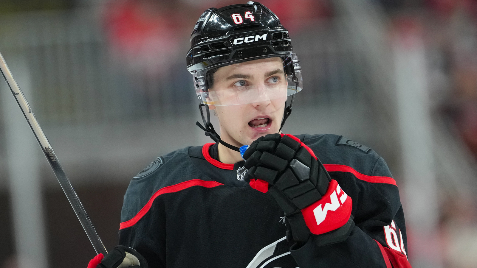 Hurricanes owner facing harsh criticism for Stanley Cup decision