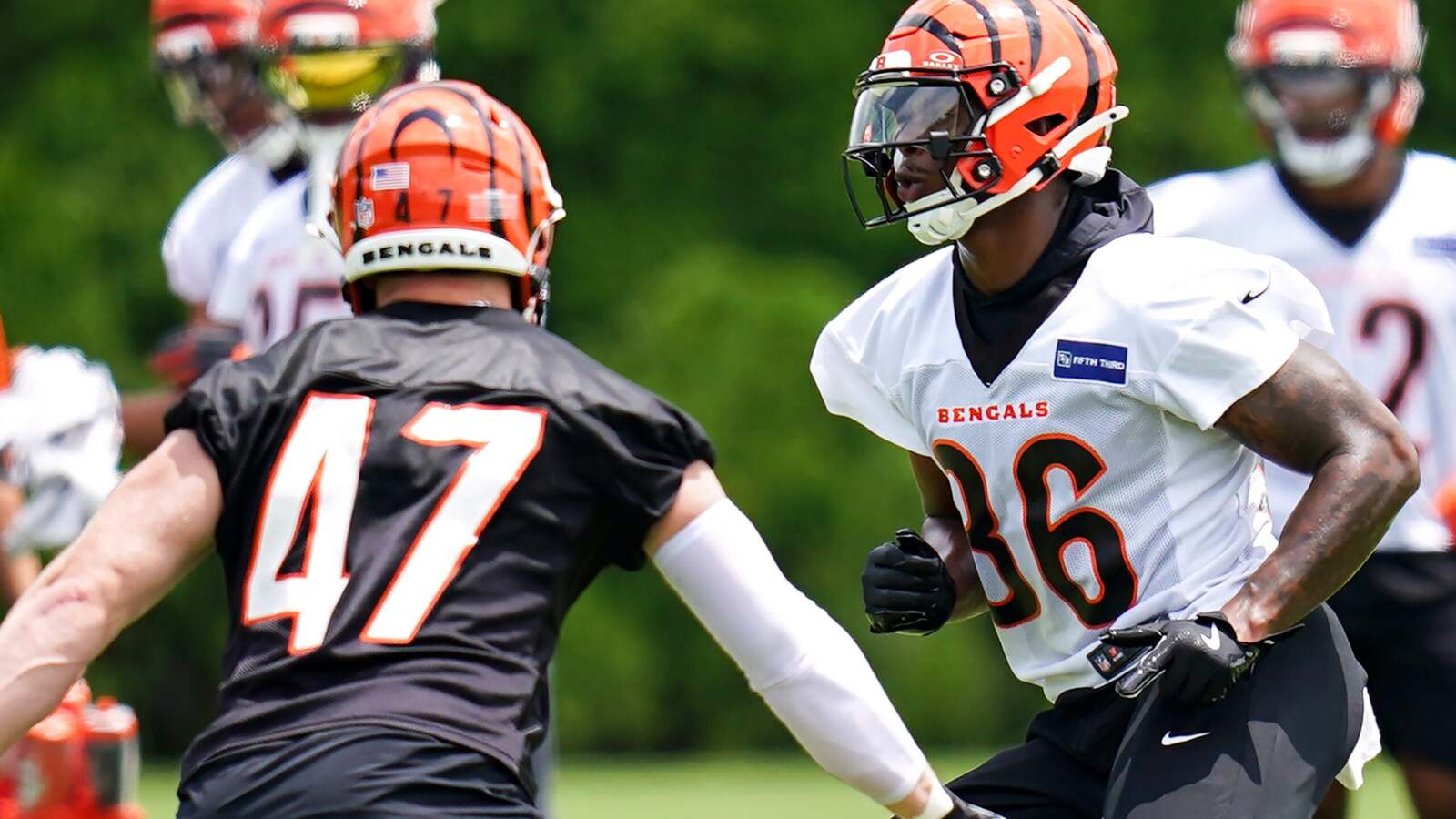 NFL fans send the Cincinnati Bengals a loud message about which player they think will win the WR3 battle in training camp