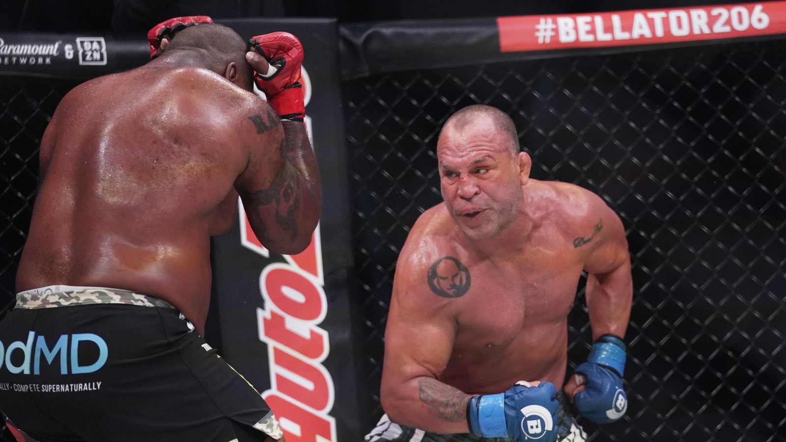 Сильва чемпион UFC