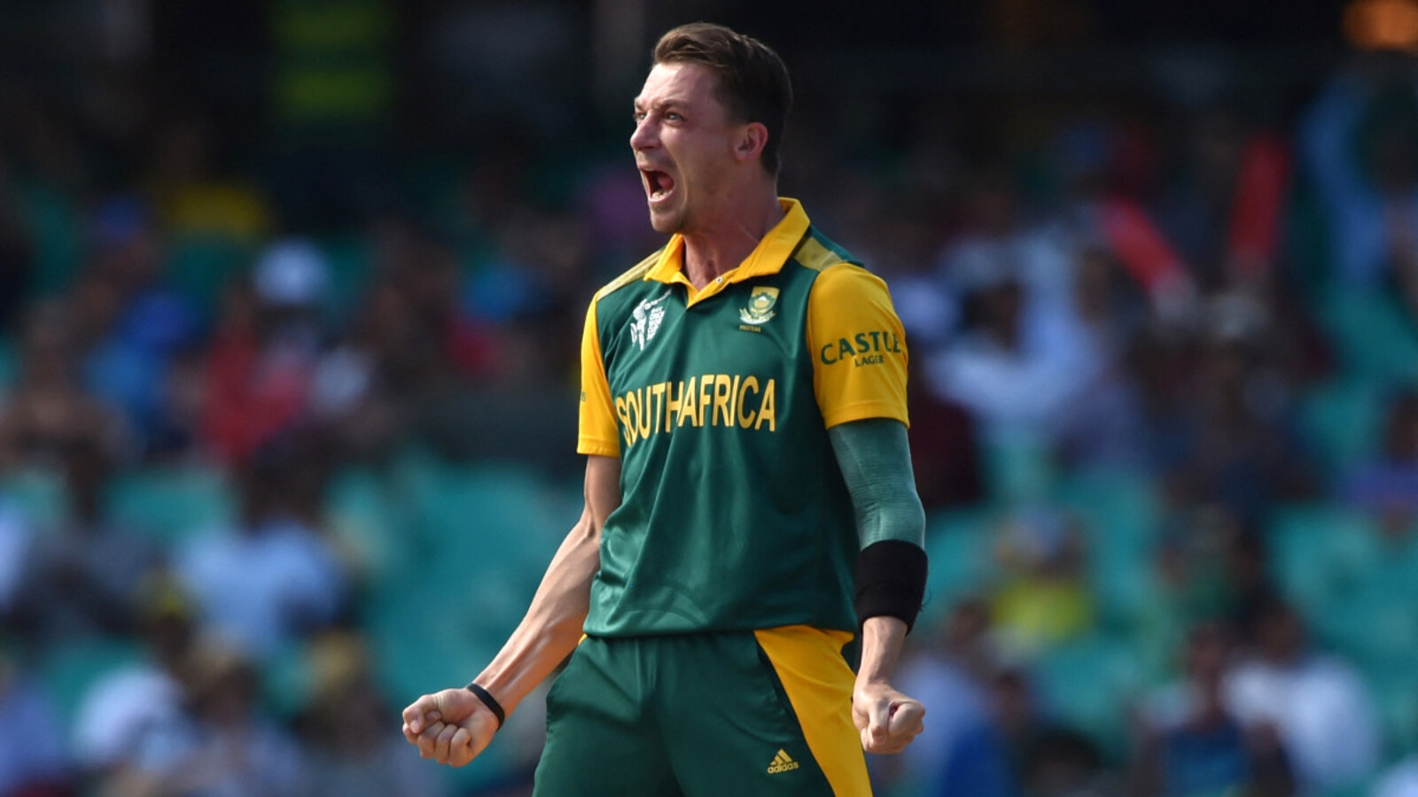 South African Legend Dale Steyn Announces Departure From T20 World Cup ...