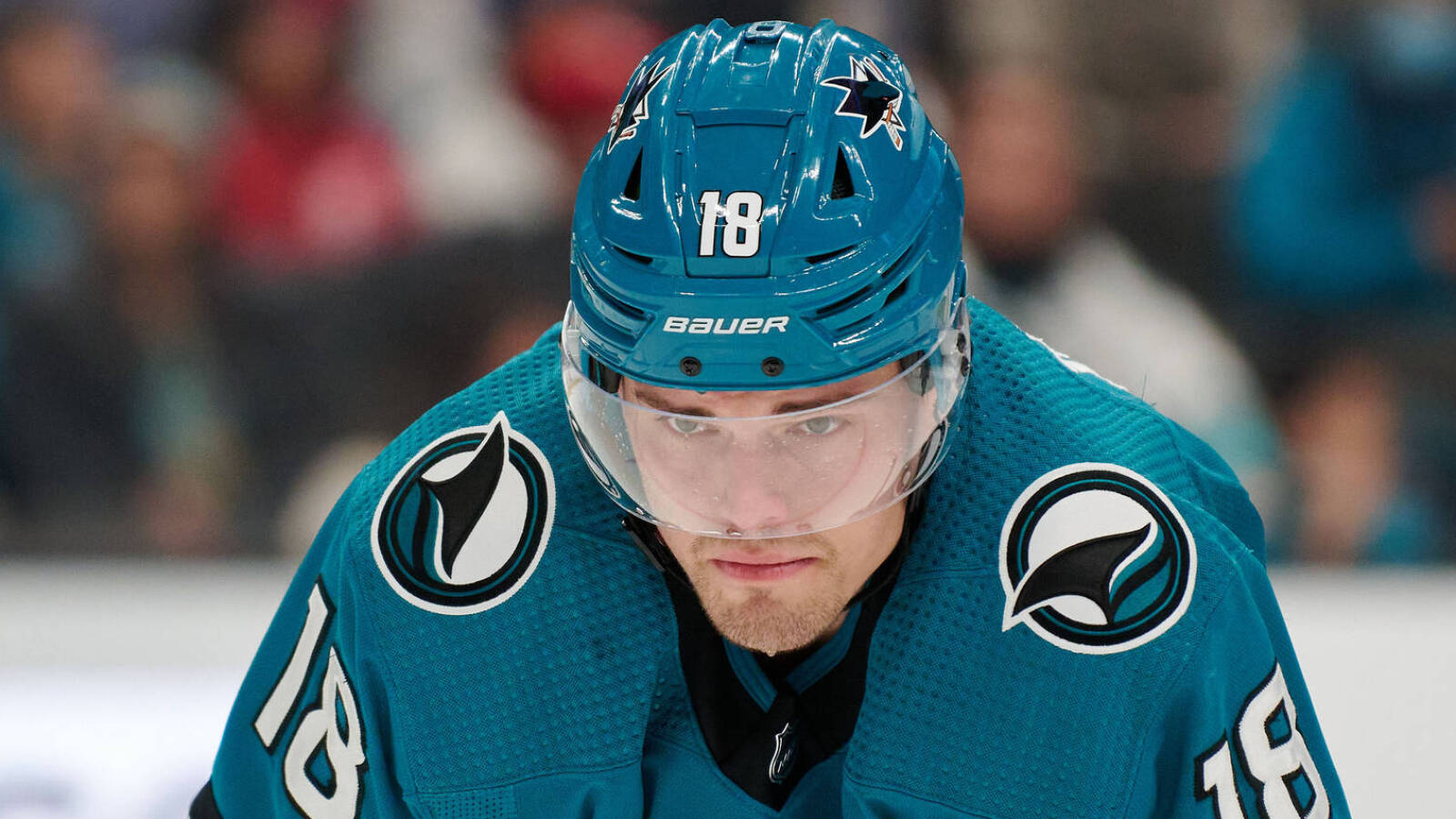 Two Sharks forwards likely out for rest of season - Vimarsana News