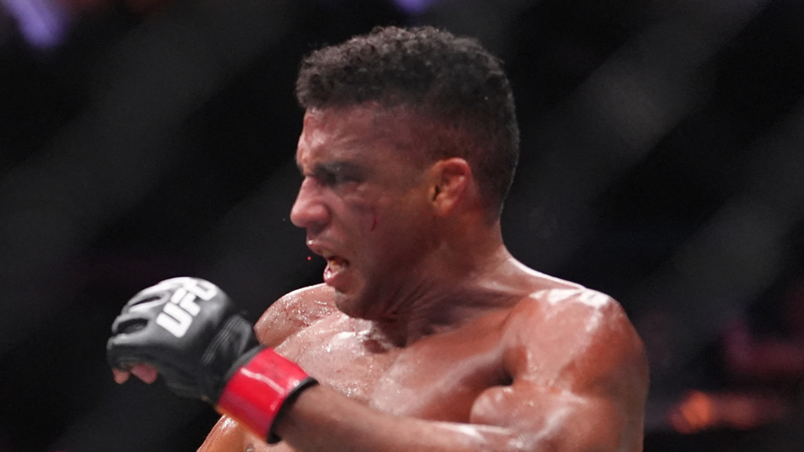 UFC 330 Highlights: Key Takeaways from the Event