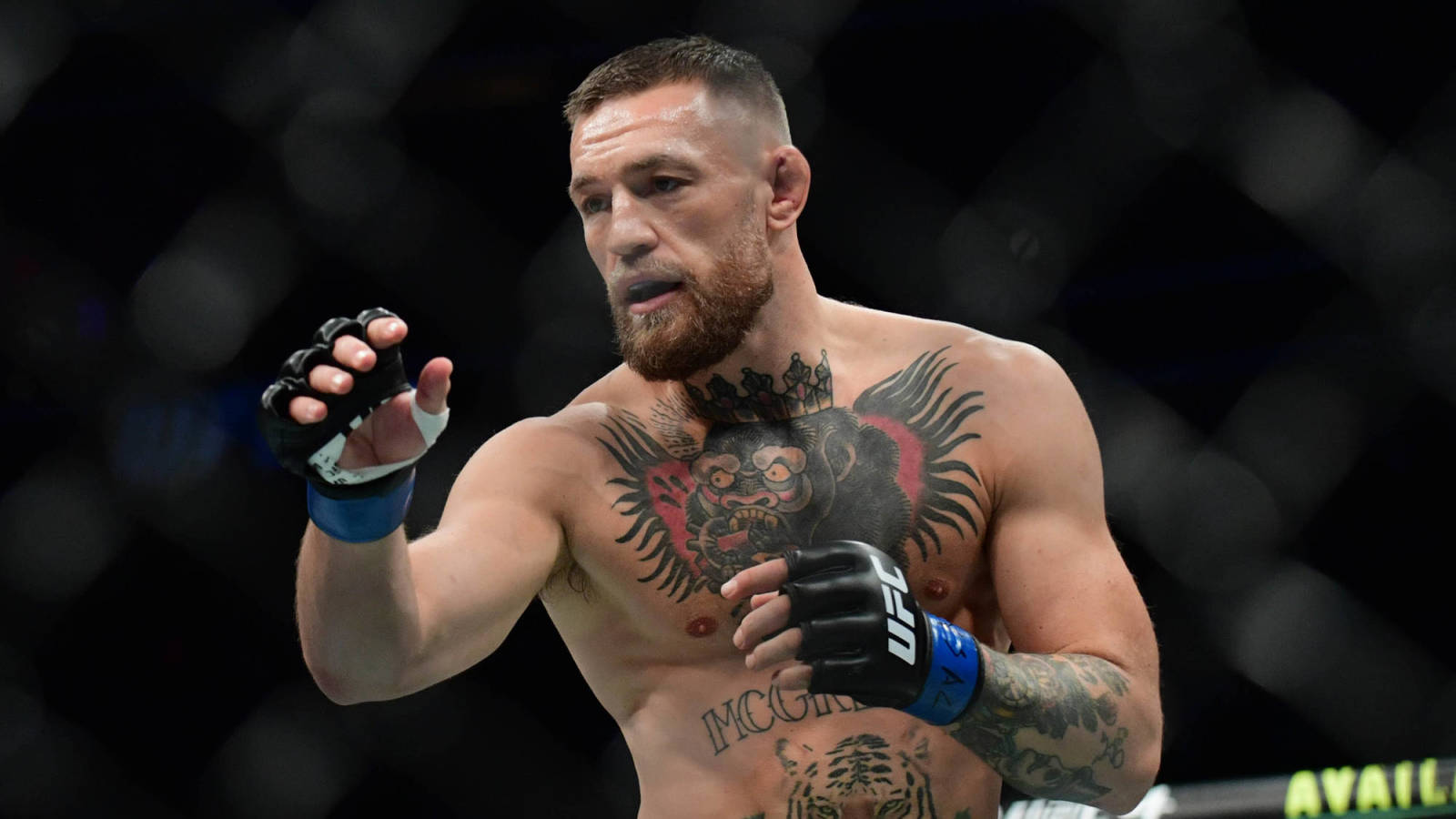 Poirier Р±РѕР№ Connor MCGREGOR