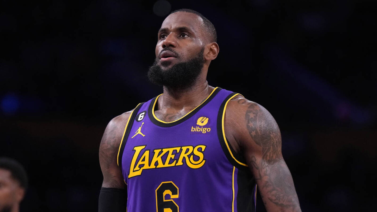 what does the new lebrons look like