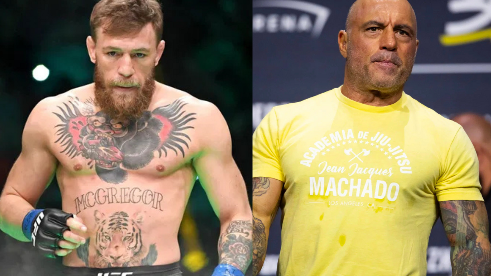 Joe Rogan Warns Conor McGregor About Aging in MMA