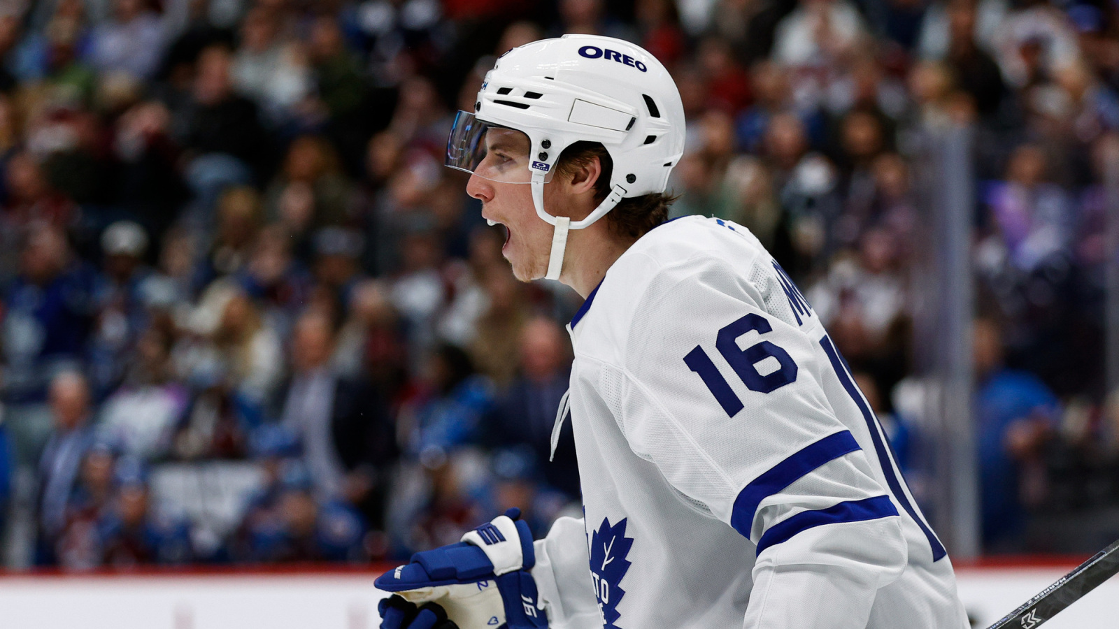 NHL News