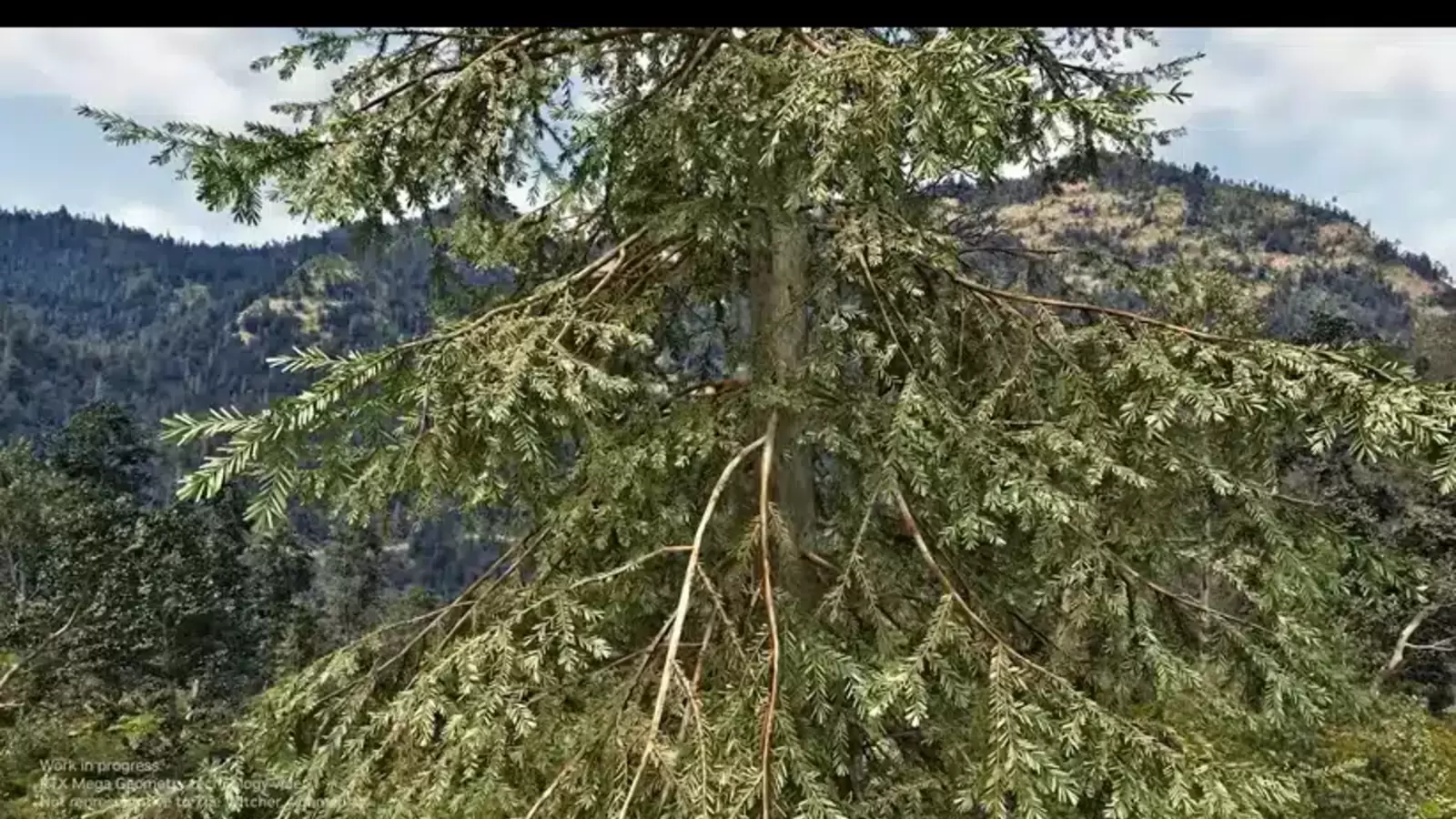 RTX Mega Geometry – The Richest Presence Found In Witcher 4’s Nature Bloom