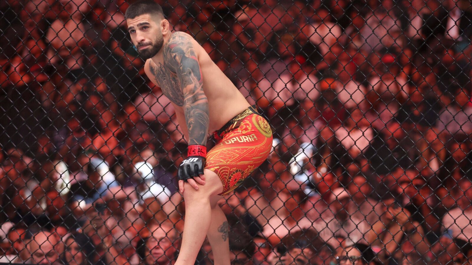 Usman Nurmagomedov Questions UFC's Confidence in Ilia Topuria