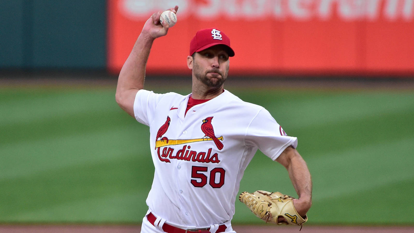 Cardinals place Adam Wainwright on COVID-19 injured list ...