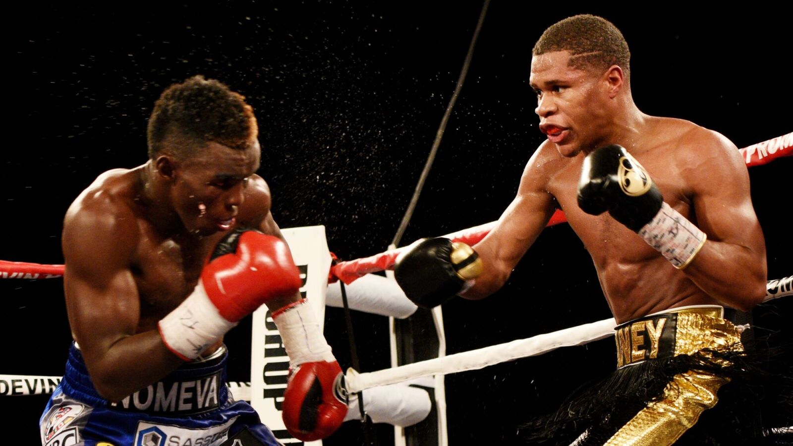 Bill Haney Exposes Gervonta Davis - Shobox New Generation Devin Haney Gold Vs 