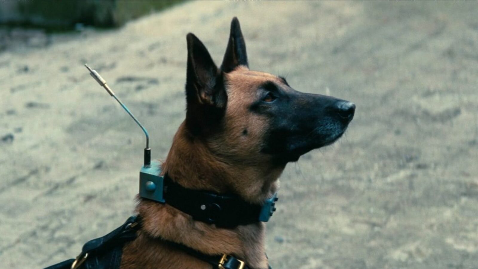 'Fallout' Season 1 openly teased The Enclave's mind control plans ...
