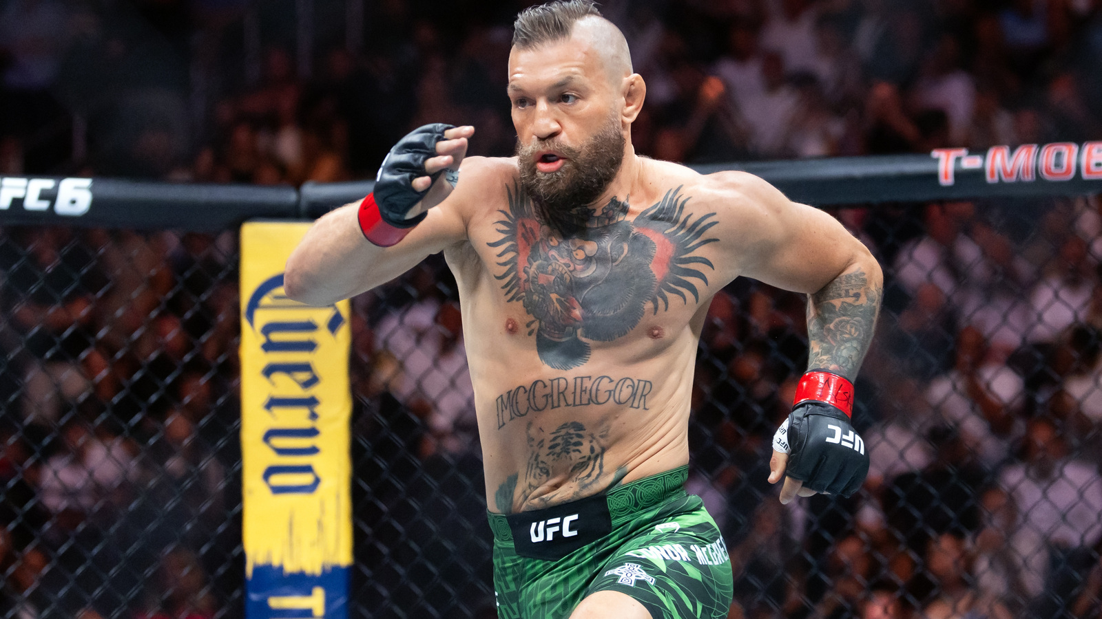Will Fleury Comments on McGregor's UFC 329 Loss