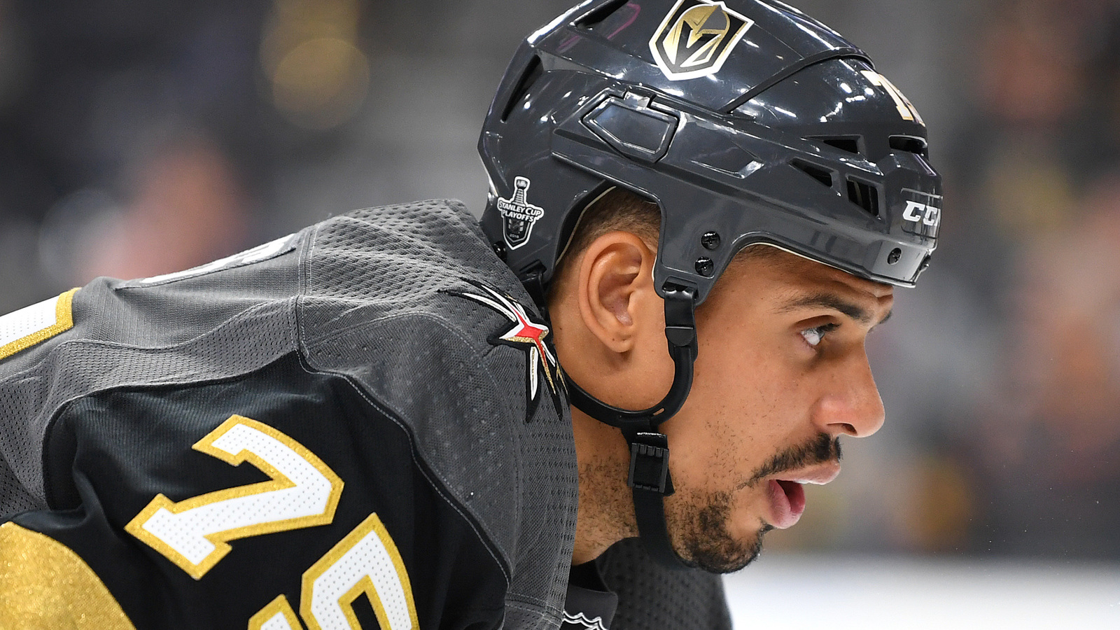 Znalezione obrazy dla zapytania ryan reaves