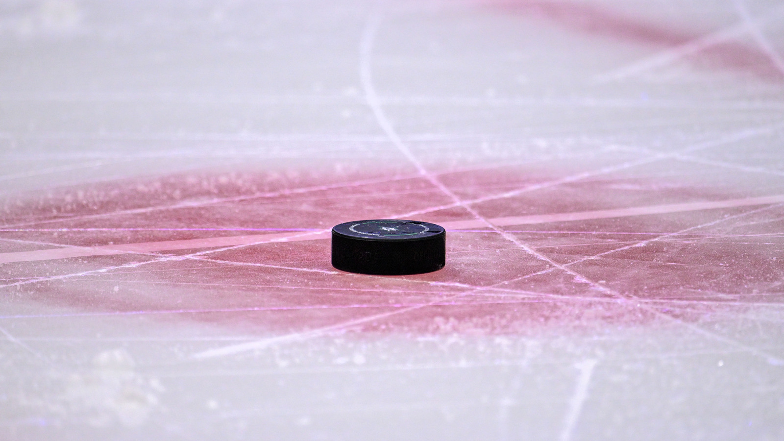 What’s So Unusual About the Toronto Marlies’ Roster?
