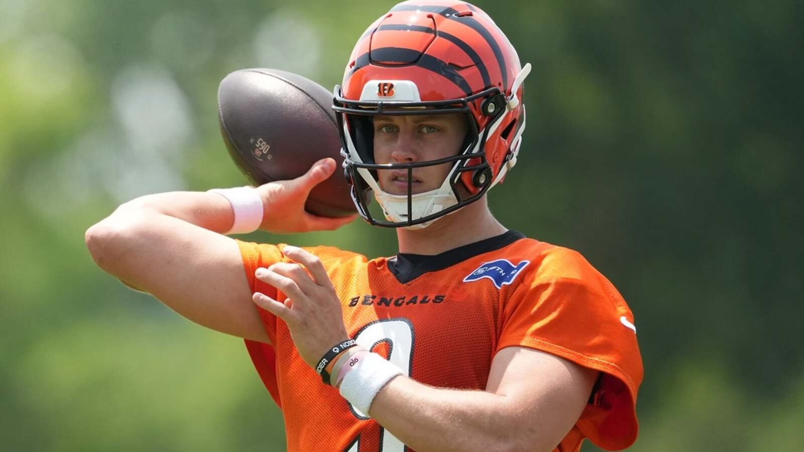 Pawn shop owner pleads guilty to fencing Joe Burrow's stolen property ...