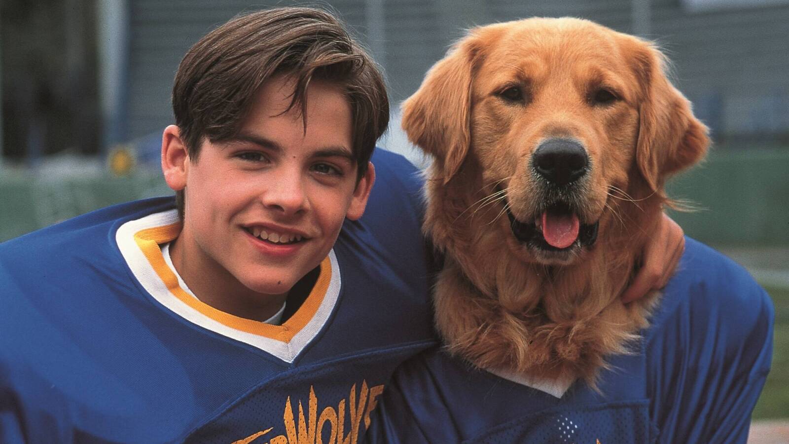 The best pets in pop culture - Vimarsana News