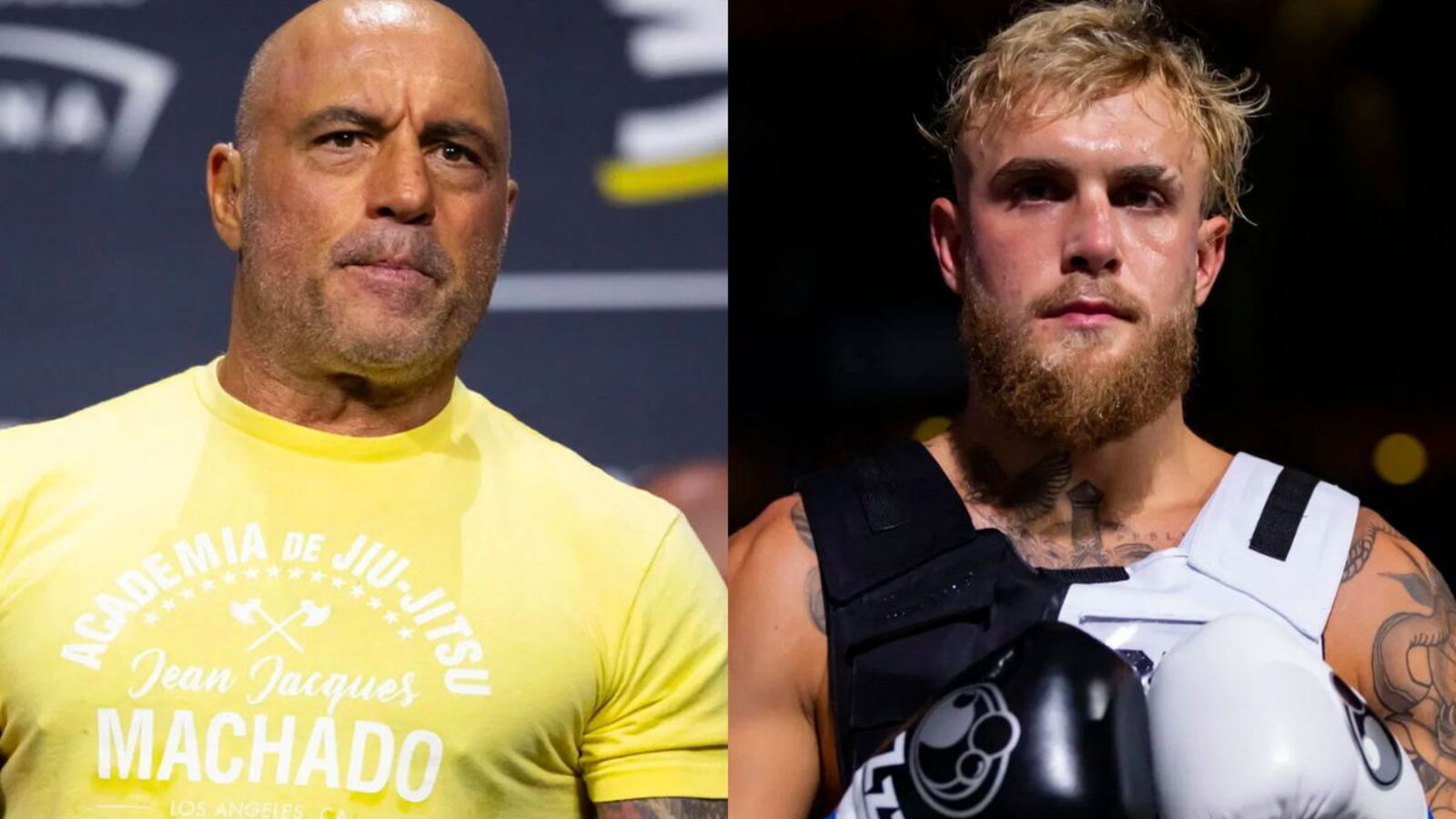 Jake Paul’s Past Reveals Why Joe Rogan Wanted to Punch Bert Kreischer ...