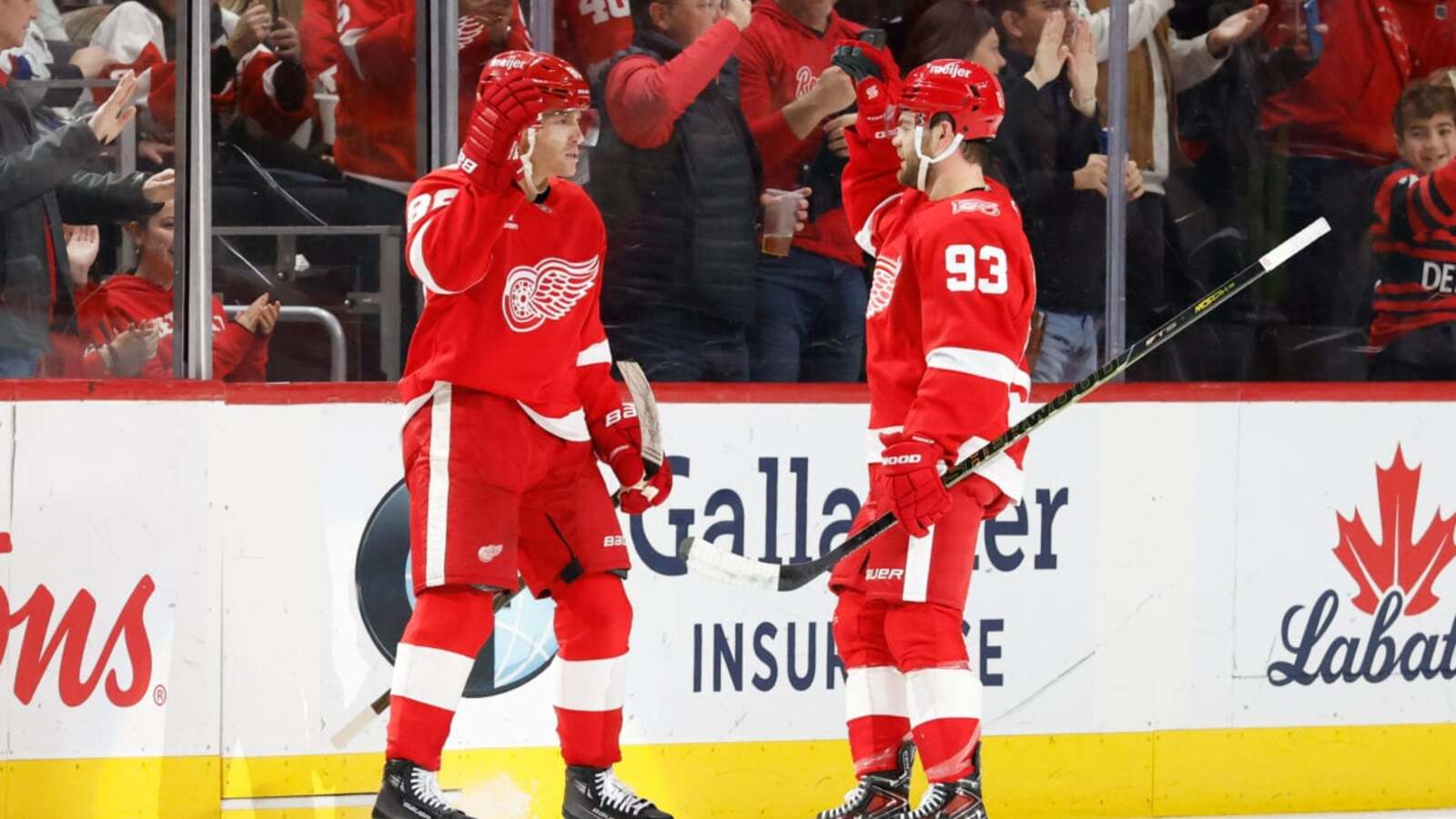 Red Wings Olympic Break Audit: Evaluating What It Will Take to Make the ...