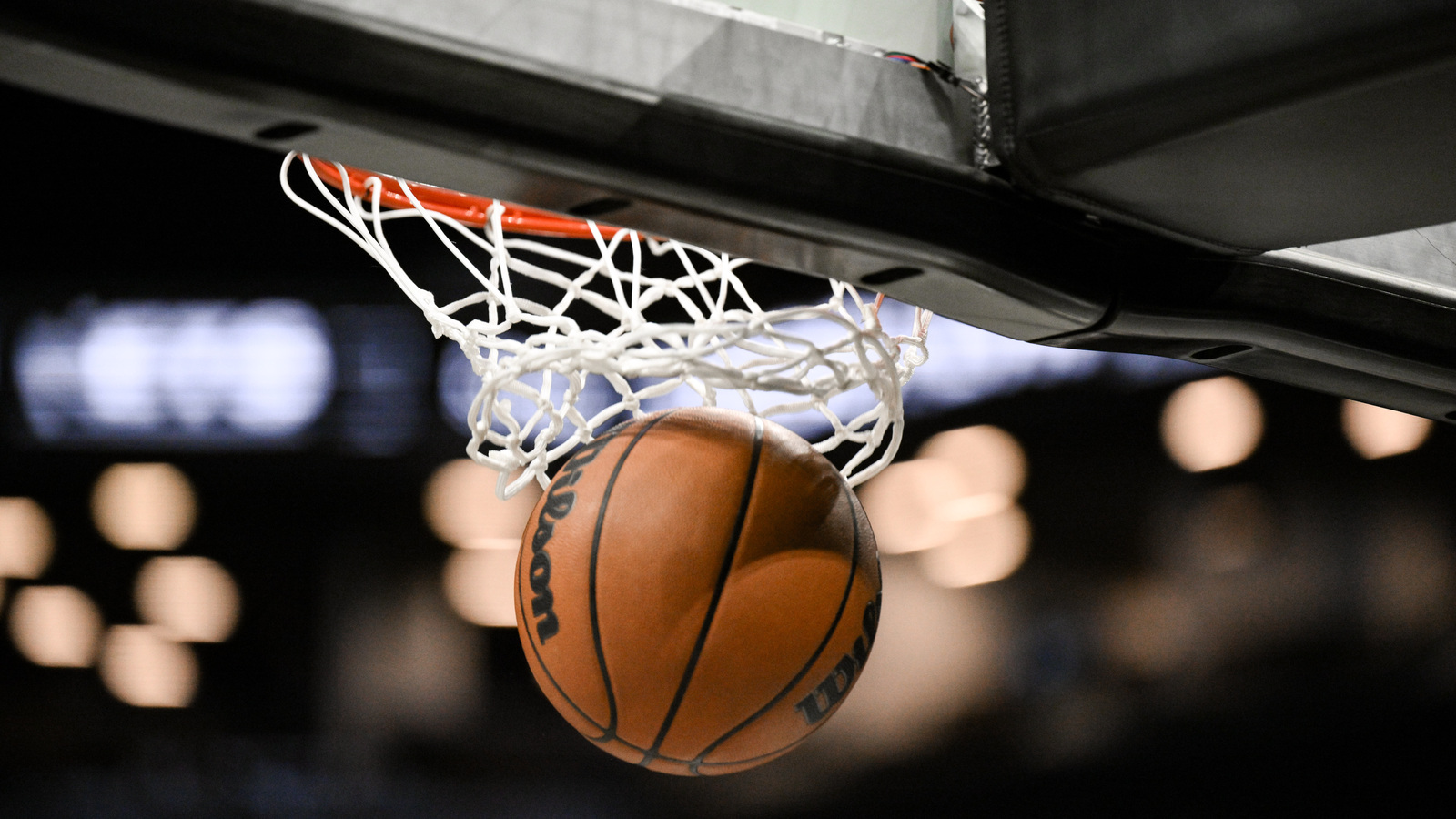 Cavs prospect Saliou Niang cleared to play at LSU